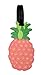 Unique Luggage Tags for Womens Travel: Watermelon and Pineapple Luggage tags for Suitcase (Pineapple may be Pink or Yellow)