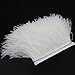 YEQIN 2 Yards Natural & Soft Ostrich Feathers Fringe Trims Ribbon - Used for Dress, Sewing Decoration, Craft Clothing, Boots, Wedding Decoration, DIY, Etc (White)