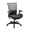BOLISS Ergonomic Office Computer Desk Chair with Flip Arms Waist Support Function,500 lbs Capacity-Black