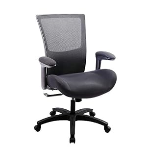 BOLISS Ergonomic Office Computer Desk Chair with Flip Arms Waist Support Function,500 lbs Capacity-Black
