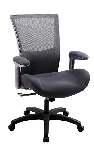 BOLISS Ergonomic Office Computer Desk Chair with Flip Arms Waist Support Function,500 lbs Capacity-Black