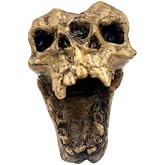 Aztec Death Whistle - Conjoined