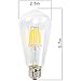 Led Edison Bulb 8W Dimmable Vintage Edison Style Light Bulb- Incandescent LED Bulb- E26 Base,ST21(ST64) Warm White (2700K-3200K)- Equivalent to 80w, CRI 80+, 680 Lumens,1 Pack- For Indoor Use