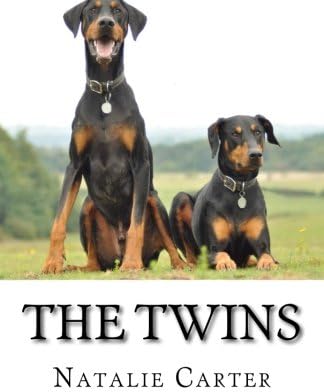 The Twins Paperback – June 22, 2014