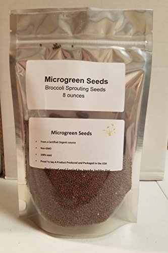 "COOL BEANS n SPROUTS" Brand Broccoli Seeds for Sprouting Microgreens, 8 oz Bag,A superfood packed with antioxidants and health-promoting nutrients. A small town family run USA business.Thank you ! - Thumbnail 3