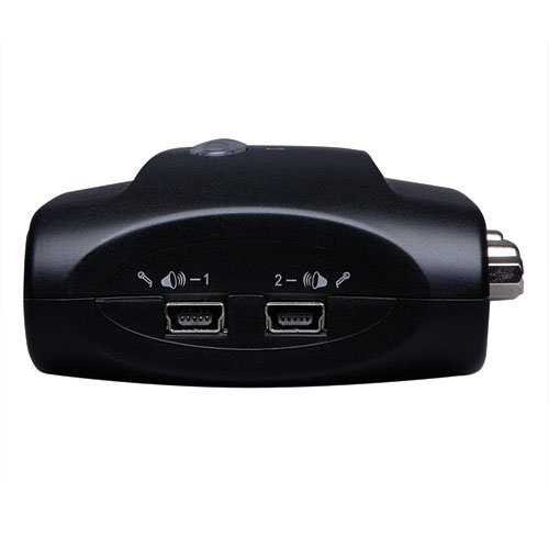 Tripp Lite B004-VUA2-K-R 2 Port USB KVM Switch w Audio and Cables
