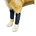 GNIKS Dog Front Leg Wrap Protects Brace Pets Joint Hock Paw Compression Wraps for Protects Wounds Brace Heals and Prevents Injuries and Sprains (L-XL)