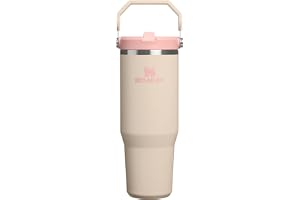 STANLEY IceFlow 2.0 Flip Straw Tumbler, 30 oz, Champagne | Easy Carry Handle | Twist On Lid and Flip Up Straw | Leak Resistan