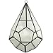 Imagine Branch Rustic Geometric Glass Terrarium - Indoor/Outdoor Industrial Finish (Glass, 10 Inch Tear Drop)