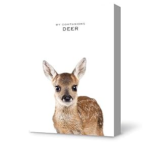 Isolated Kangaroo Painting Wall Poster Decor for Living Room Framed