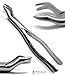 2 Pcs Dental Forceps 88L & 88R Molar Tooth Extracting Surgical Steel Instruments