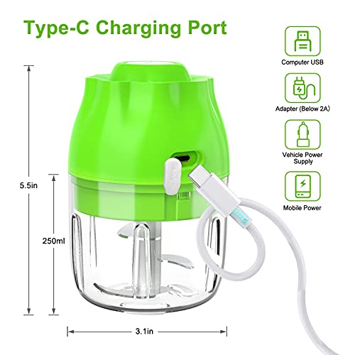 Garlic Chopper, Electric Mini Garlic Chopper, Portable Food Processor