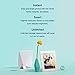 Aura Digital Photo Frame, 10” HD Display, 2048 x 1536 Resolution with Free Cloud Storage, Oprah's Favorite Things List 2018, Stardust WiFi Smart Frame