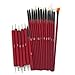 Glow 20 piece Nail Art Brushes and Nail Dotting Tools Set; Red/Maroon