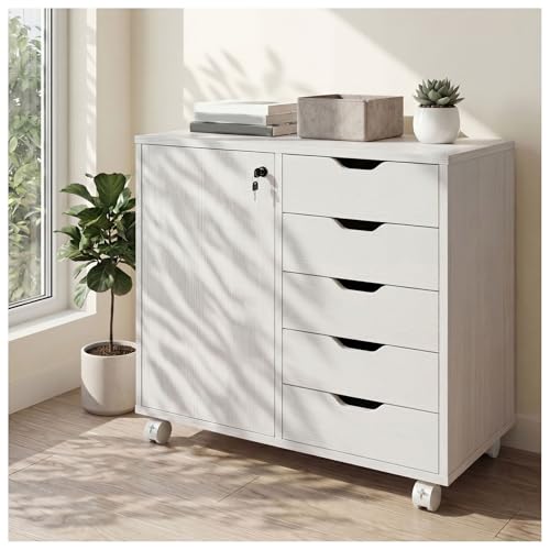 Simple Wisdom Archivero Organizador con 5 Cajones,Archivero con Llave de Oficina con Estantes Ajustables y Ruedas,Soporte para Impresora para Oficina en Casa(Blanco)