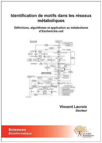 Identification de motifs dans les réseaux métaboliques