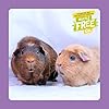 Excel-Burgess-Guinea-Pig-Nuggets-Blackcurrant-and-Oregano-2-kg Excel Burgess Guinea Pig Nuggets Blackcurrant and Oregano, 2 kg