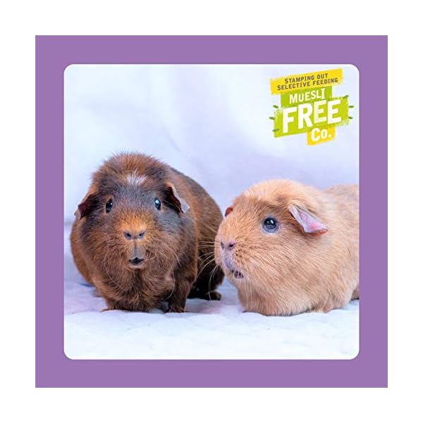 Excel-Burgess-Guinea-Pig-Nuggets-Blackcurrant-and-Oregano-2-kg Excel Burgess Guinea Pig Nuggets Blackcurrant and Oregano, 2 kg