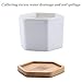 T4U 3 Inch Planter Pot Bamboo Saucer Hexagon Set of 6, Succulent Pot Holder Drainage Tray for Most Small Ceramic Succulent Planters Holding Drainage Water
