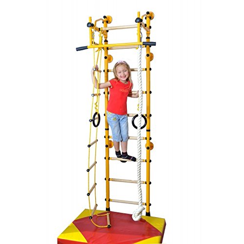 Buy NiroSport FitTop M2 Indoor Jungle Gym Wall Bars for Kids Swedish