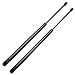 cciyu Qty(2) 6105 Lift Supports Struts Replacement fit for 2003 2004 2005 2006 2007 2008 2009 Kia Sorento Rear Liftgate