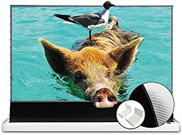150\" Floor Rising Electric Tensioned Screen (UST And Non UST) – Personal Projector