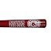 Boston Red Sox Official MLB Mini Baseball Bat by Coopersburg Sports