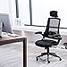 High Back Mesh Office Chair - Ergonomic Design of Computer Desk Chair with Lumbar and Neck Support Color Black