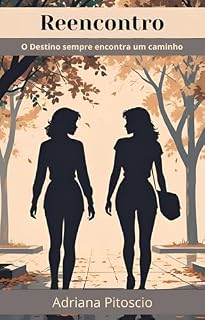 Livro Reencontro: O destino sempre encontra um caminho