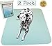 Kluein Pet Training Pads for Dogs | Non-Slip Absorbent | Washable Pads for Dogs Cat Rabbit Guinea Pig Small Pets, Travel Carrier, Dog Crate Mat, Food Mat |2-Pack XL 36x41in Aqua