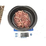 Worms 1/2 Pound (Approximately 500 Red Wiggler Composting