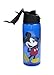 Disney Mickey Mouse Flip Top Water Bottle