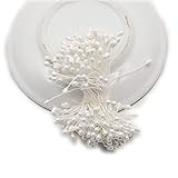 FLOWER 1200PCS Artificial Double Heads Stamen Pearlized for Craft Cards Cakes Decoration Floral DIY Wreath Accessories (White)