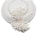 FLOWER 1200PCS Artificial Double Heads Stamen Pearlized for Craft Cards Cakes Decoration Floral DIY Wreath Accessories (White)