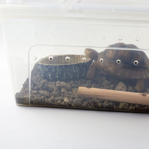 OMEM Reptile Natural Bowl Food and Water Dish Resin Made (Tree bark