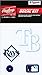 Rawlings Sporting Goods MLBDC Decal Kit, Tampa Bay Rays