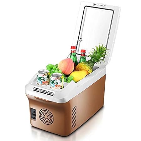 BLJ-car Refrigerador del Coche Enfriador eléctrico de la Caja ...