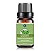 Peppermint Essential Oil,Premium Therapeutic Aromatherapy Oil,100ML