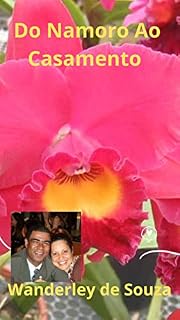 Livro Do Namoro ao Casamento