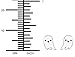 Hypoallergenic Sterling Silver Halloween Jewelry Ghost Stud Earrings for Kids (Nickel Free)