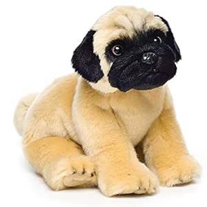 pug toy breed