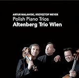 POLISH PIANO TRIOS                                 image
