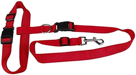 Hands Free Dog Leash - Excellent for Training, Walking, Hiking, Running, Jogging - Heavy Duty Strap, Handle, Rope, Harness Lead Strap - Pet Collar, Adjustable - 6 ft (Red)