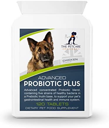 american mastiff breeders