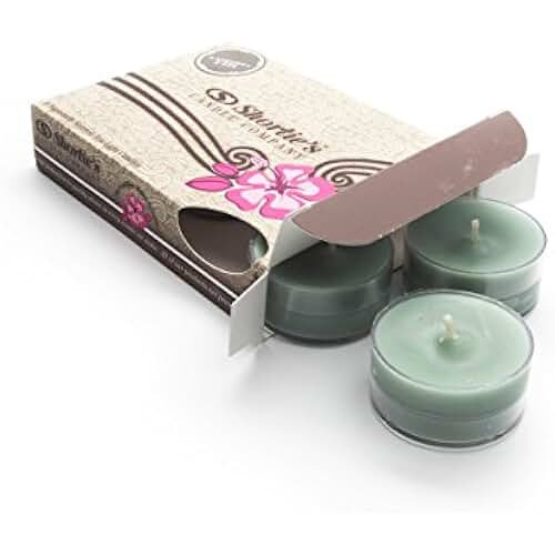 bayberry candles