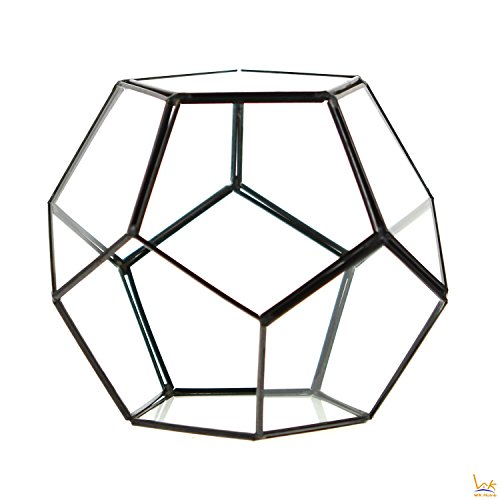 WK Home Glass Terrarium Pentagon, Black Regular Geometric Container Sphere Terrarium Desktop Planter for Air Plants