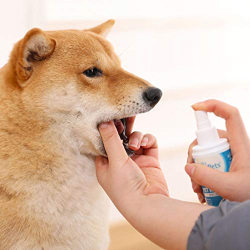 Pet Dental Spray,Pet breath freshener and Breath Drops,Eliminate Bad Dog Breath & Bad Cat Breath,Control Tartar and Keep Gums Healthy - Without Brushing,Natural Tooth Cleaning Treatment (2pcs)