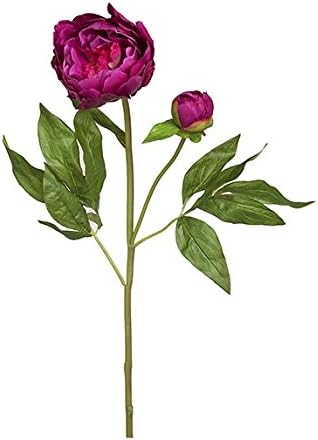 Amazon Siaホームファッション75 Cmピオニーと芽花 フクシアby Siaホームファッション キッチン用品 オンライン通販