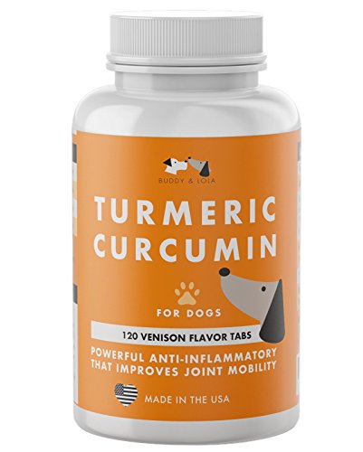 Buddy & Lola Turmeric Curcumin for Dogs - Anti Inflammatory Improves Joint Mobility for Strong Hip and Joint Fitness - 120 Chewable Venison Flavor Turmeric for Dogs