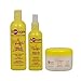 ApHogee Curlific Textured Hair Wash 12oz + Moisture Rich Leave-In + Texture Treatment 8oz